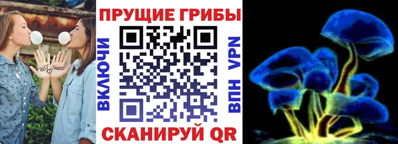 Псилоцибиновые грибы Magic Shrooms  купить   Дрезна 